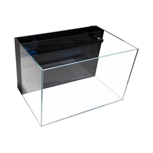Lifegard CRYSTAL 9.98 Gallons 45 Degree Beveled Edge Low Iron Ultra Clear Aquarium with Built in Back Filter 5mm 17.72 x 11.81" x 11.02"