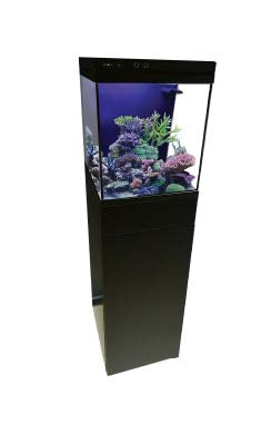 JBJ Cubey Black 10 gallon