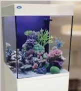 JBJ Cubey White 10 gallon