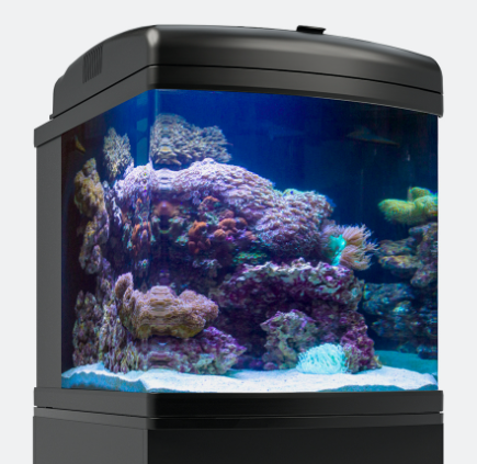 JBJ Delux Nano Cube Biotope 24 Gallons (36W*2)