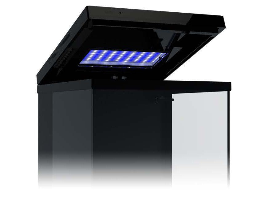 JBJ Nano Rimless All in one Aquarium (10 gallons)