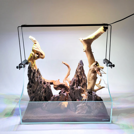 Low Iron Ultra Clear Glass Terrarium/Paludarium Kit with LED Light, Mounting Brackets, Internal Filter, Bulkhead and Fittings   5MM 18.9 x 8.86 x 11.4 Inch