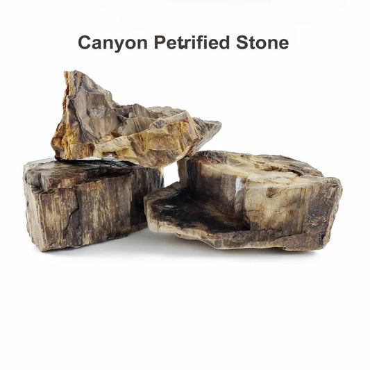 Lifegard Canyon Petrified Stone - 44 Lbs box of SMALL size stones