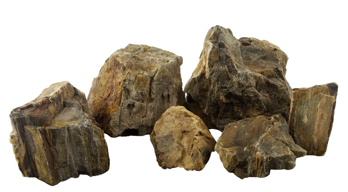 Lifegard Canyon Petrified Stone - 44 Lbs box of LARGE size stones