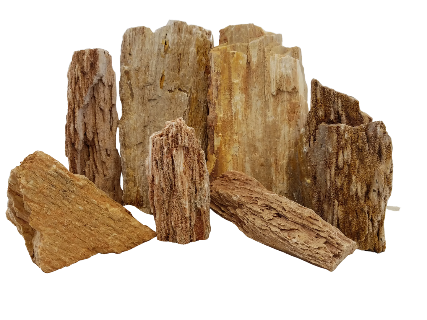 Lifegard Burma Petrified Stone - 44 Lbs box of MEDIUM size stones