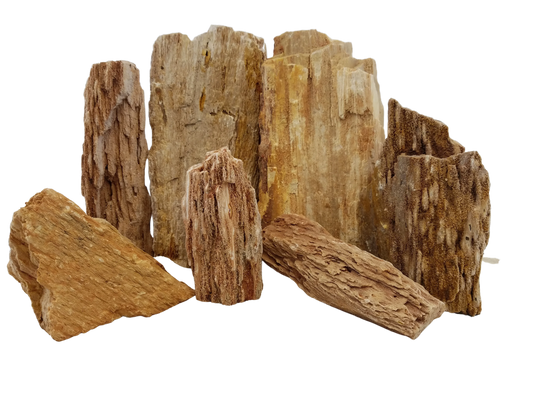 Lifegard Burma Petrified Stone - 44 Lbs box of MEDIUM size stones