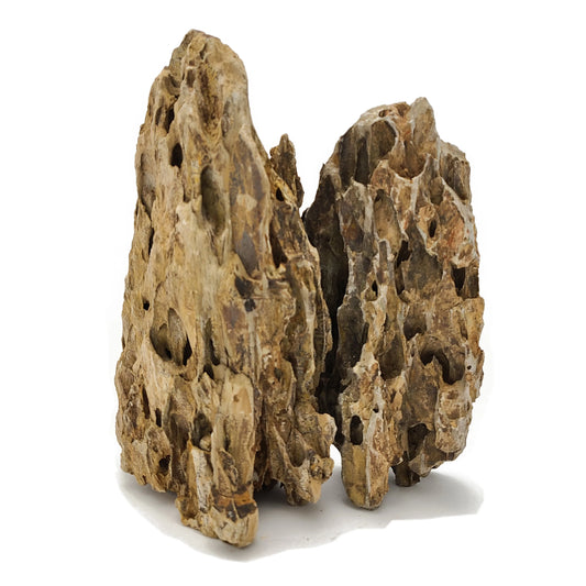 Lifegard Dragon Ohko Aquascaping Rock 44 Lbs. Small Rock Case