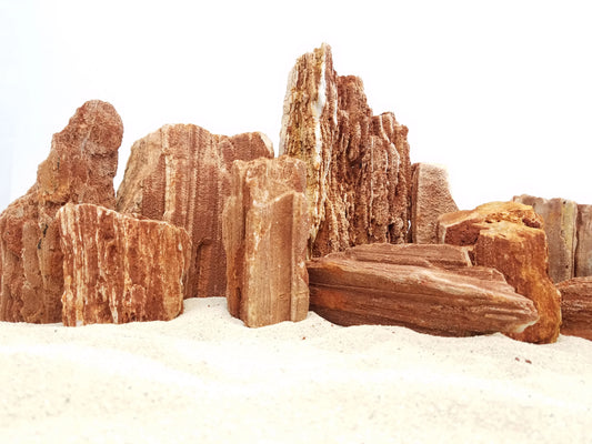 Lifegard Red Wood Petrified Stones - 44 Lbs box of MIX SIZE size stones