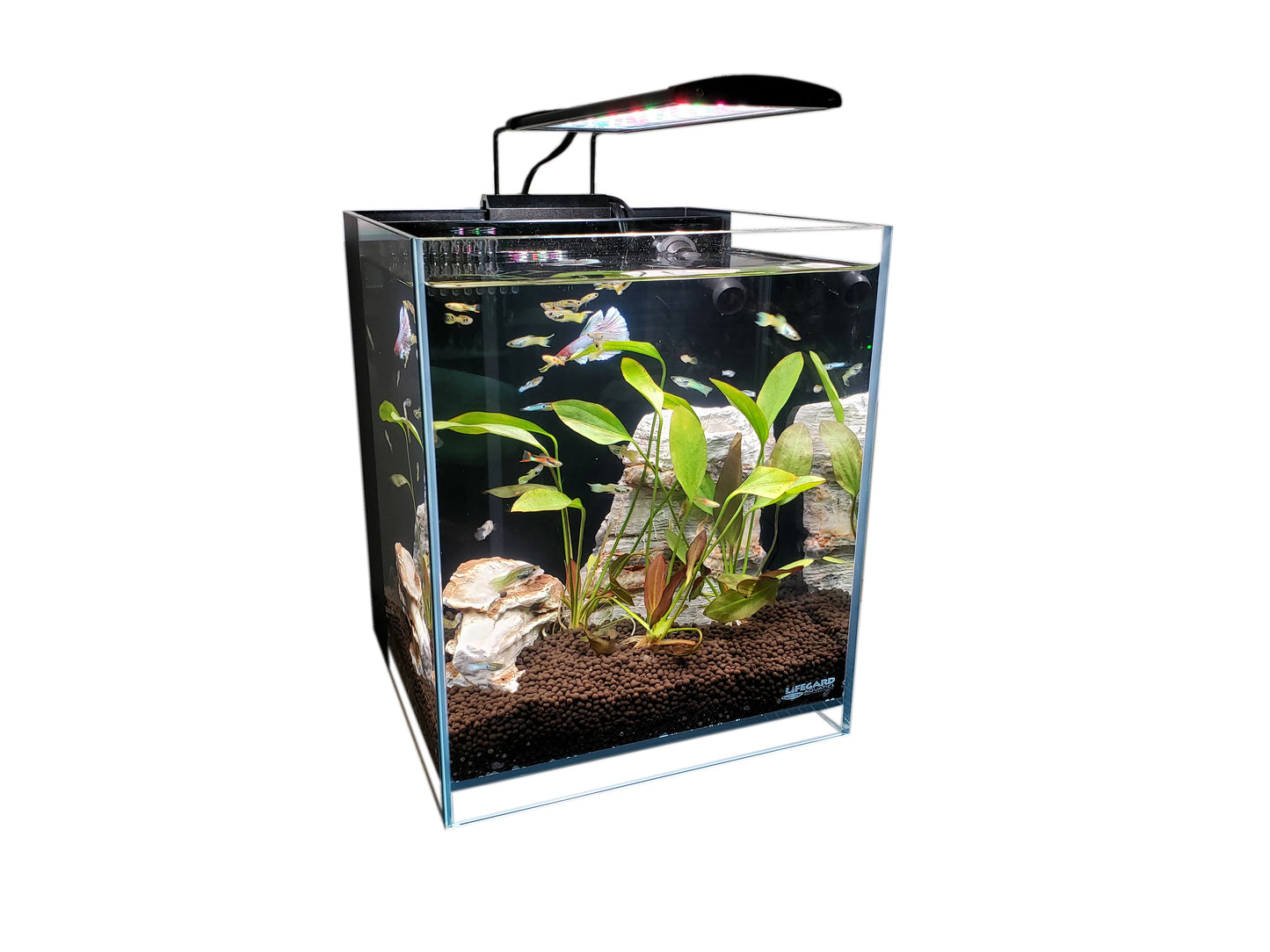 Lifegard High Output 5" Full Spectrum LED Light with Mounting Bracket