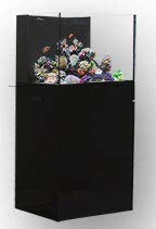 JBJ Nano Rimless All in one Aquarium (10 gallons)