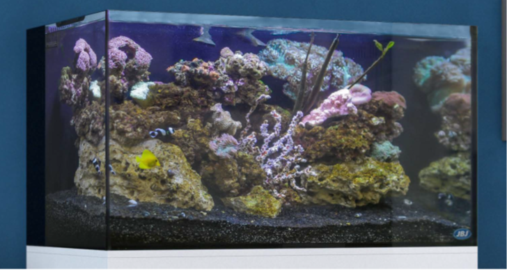 JBJ 25 Gallon Rimless Flat Panel Aquarium Only