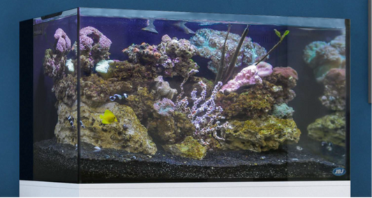 JBJ Nano Rimless All in one Aquarium (15 gallons)