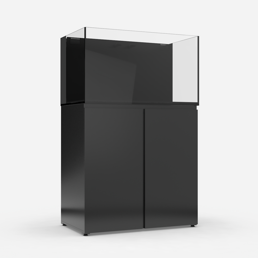 JBJ Starter Kit (65G) Aquarium and Black Stand
